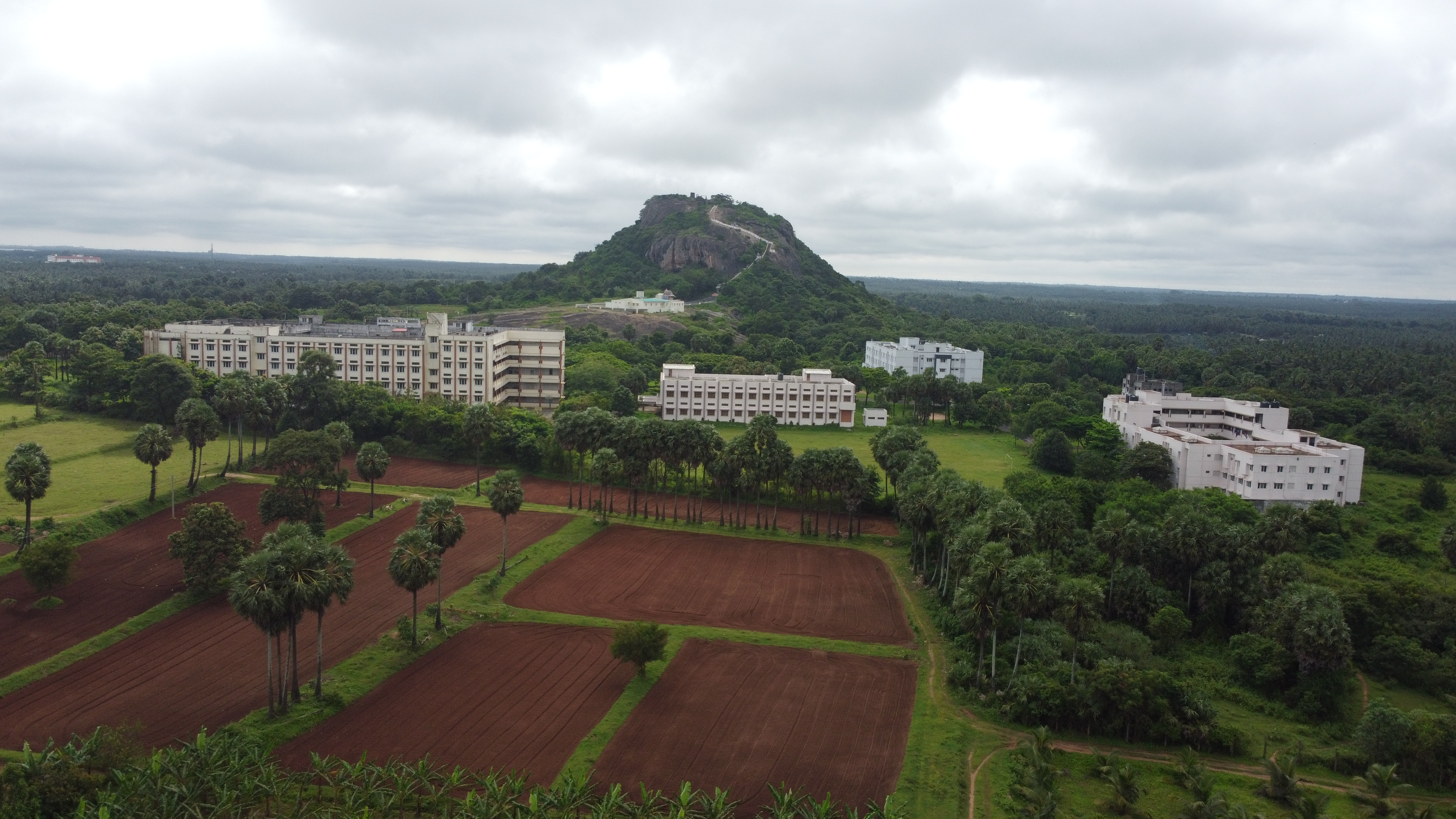 Campus Eagle View